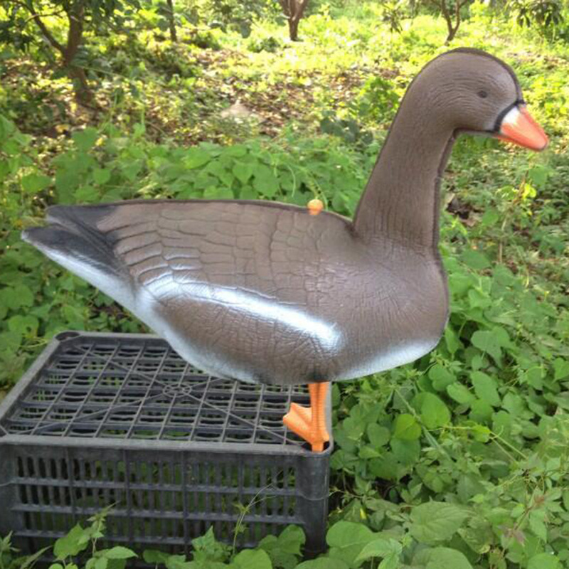 Hunting Outdoor Decor - Lebendige Gans Jagd Lockvogel Ganzkörper Krähe