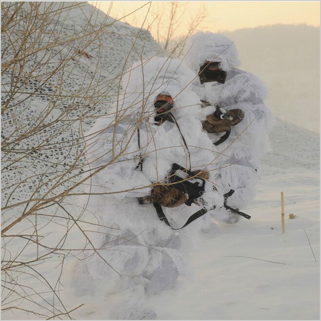 Winter 3D Weiß Schnee Ghillie  – Ghillie Suit Woodland Bewertung und Preis
