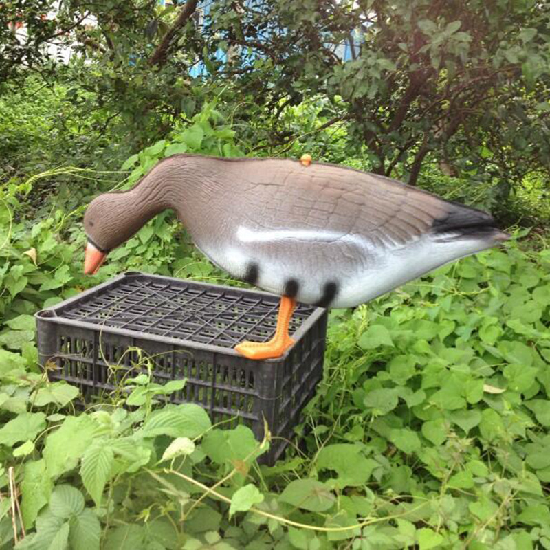 Lebendige Gans Jagd Lockvogel  – Hunting Outdoor Decor Bewertung und Preis